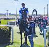 Shy Guy entrando en el paddock de ganadores